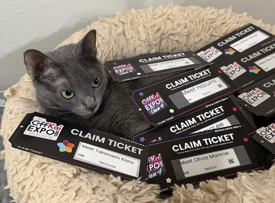 A gray cat is surrounded by printed out Claim Tickets with varying labels.